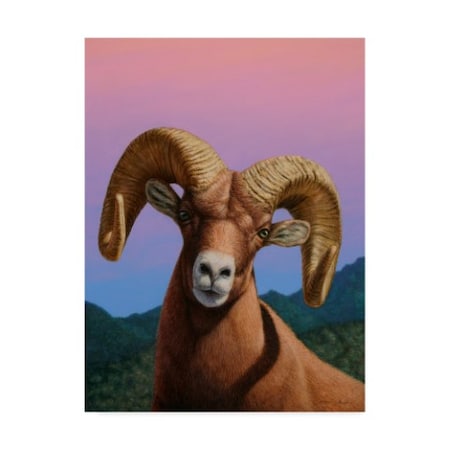 James W. Johnson 'Bighorn' Canvas Art,24x32